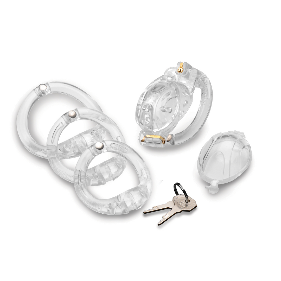 Master Series Double Lockdown Lockable Adjustable Chastity Cage