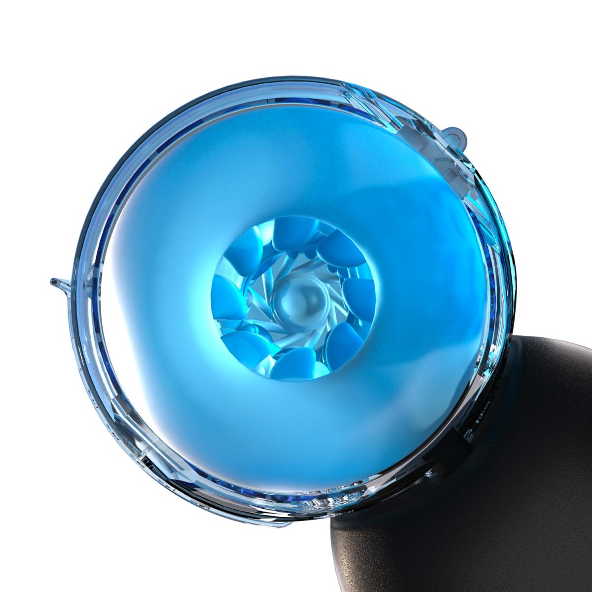 Blowcast Wingman Plus internal texture