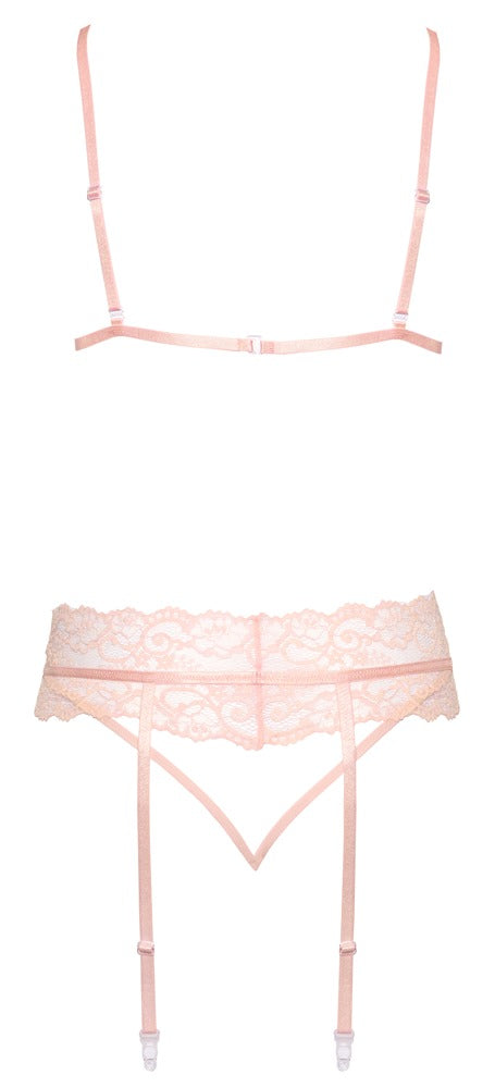 Kissable Lace Bra and Panty Set with Garter Belt Clear Back