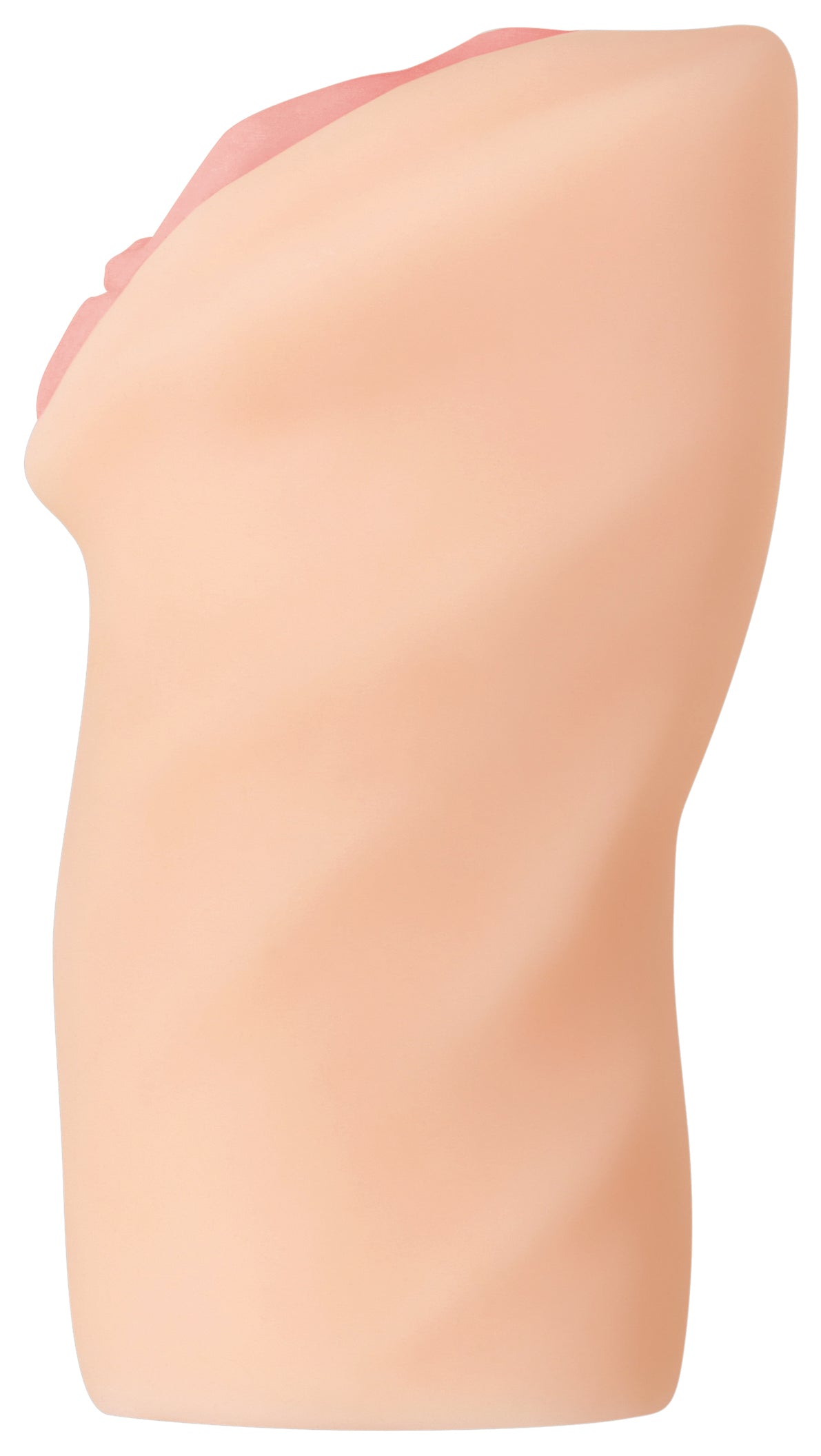 Zero Tolerance Alexis Texas sleeve