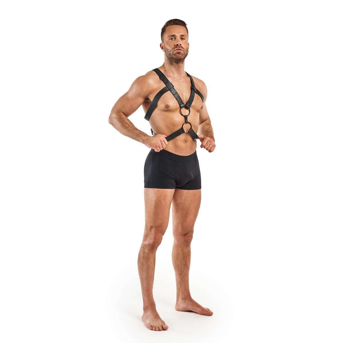Bedroom Fantasies Rocco Bondage Harness
