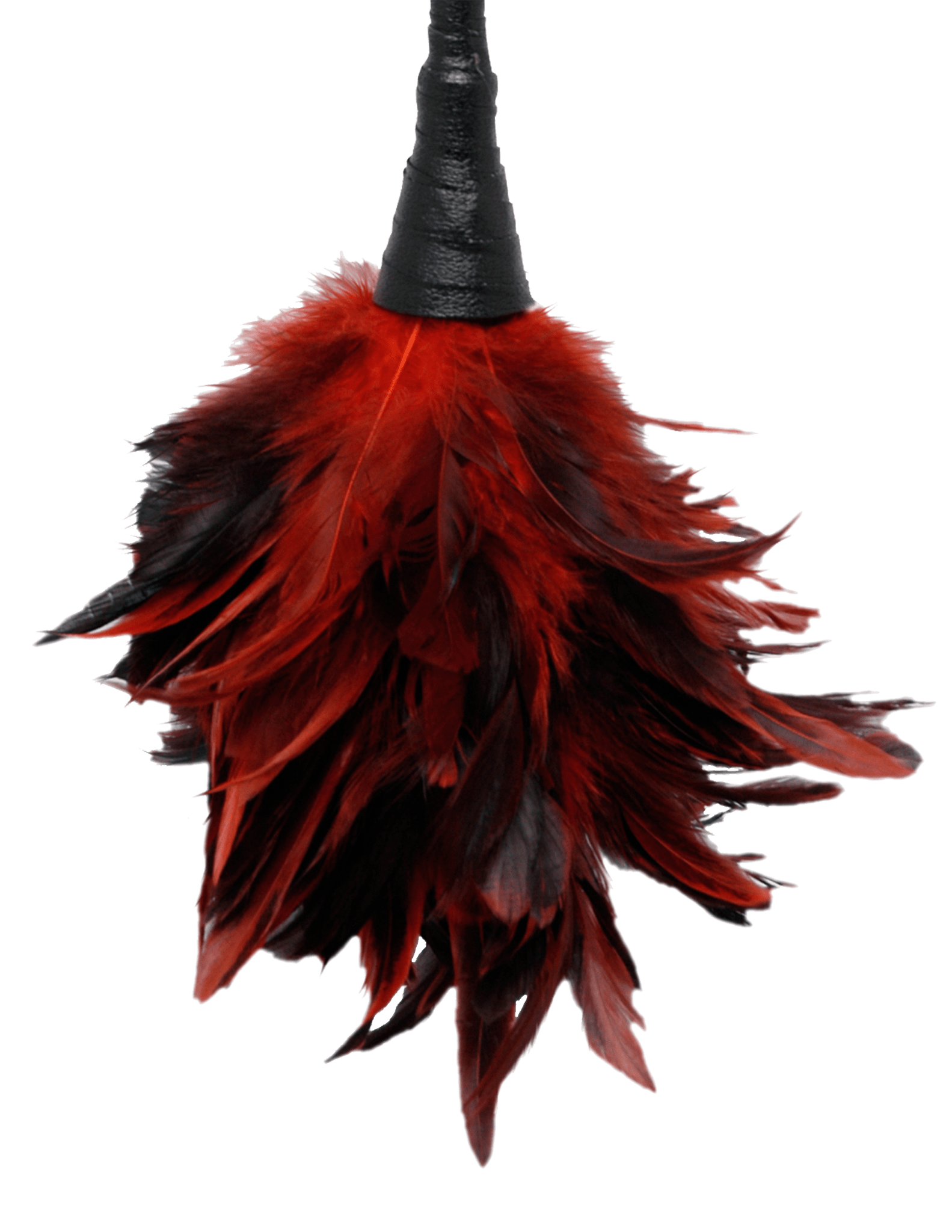 Fetish Fantasy Series Frisky Feather Duster - Loveangels