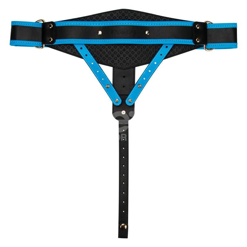 Ingen Adjustable Enhanced Strap On Harness With 9 Inch Hollow Dildo - Loveangels