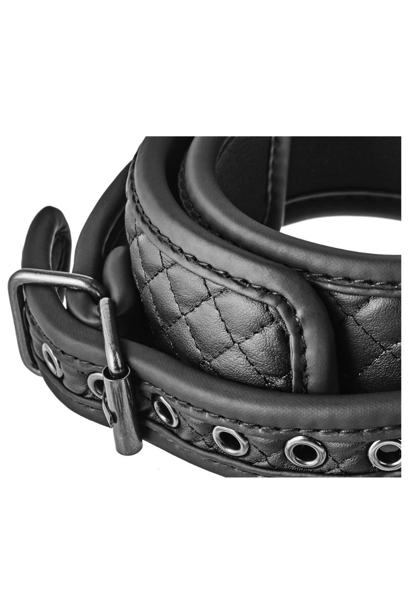 Blaze Collar And Leash Diamond closeure