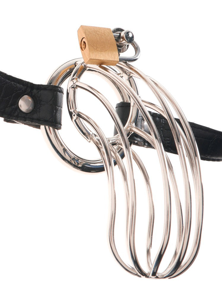 Fetish Fantasy Extreme The Prisoner Chastity Cage