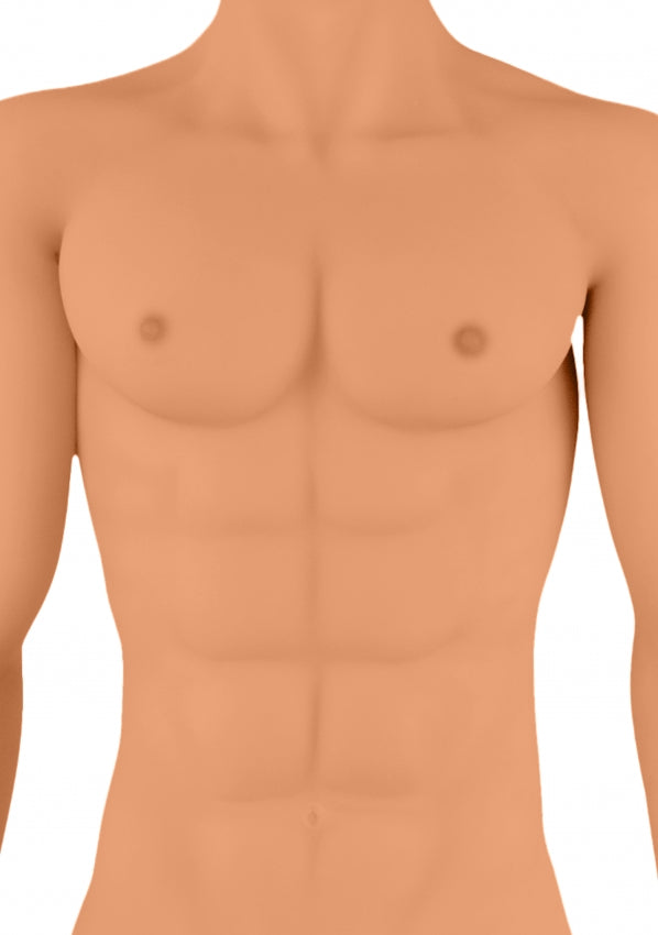 Justin Realistic Male Sex Doll torso