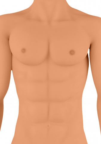 Justin Realistic Male Sex Doll torso