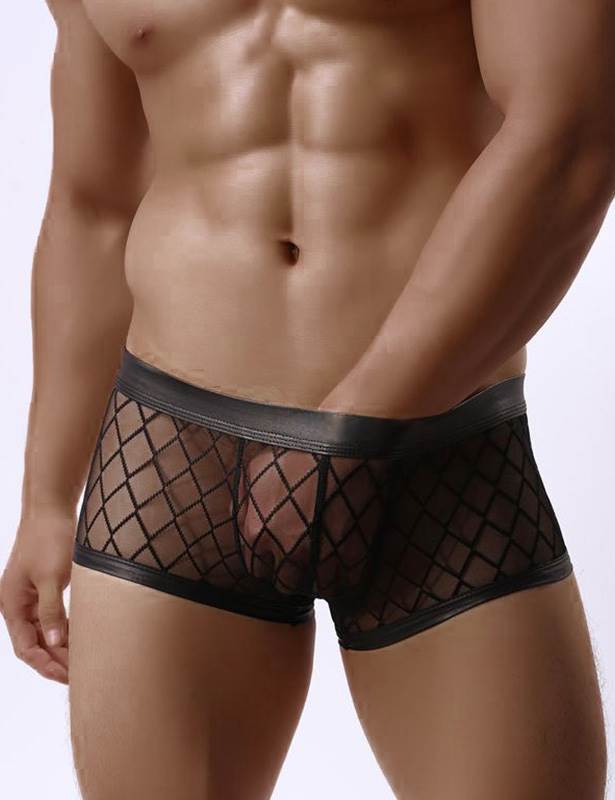 Loveangels Men's Sheer Mesh Low Rise Boxers - Loveangels