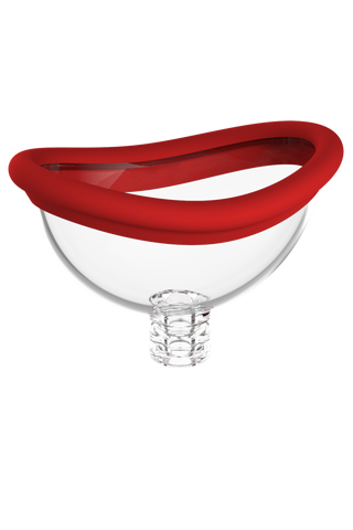 Dreamtoys Red Revolution Georgia G-Spot Vibrator And Suction Pump