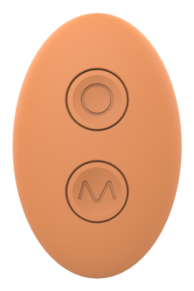 Glam Couple’s Vibrator With Remote Control
