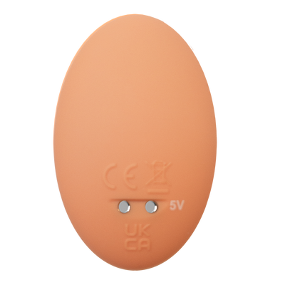 Glam Couple’s Vibrator With Remote Control