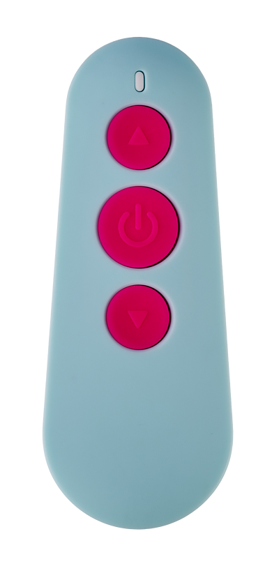 DreamToys Love Signal Lover's Vibe With Remote