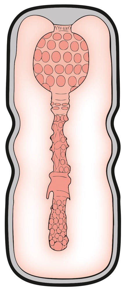 Stroker Anal Style Masturbator