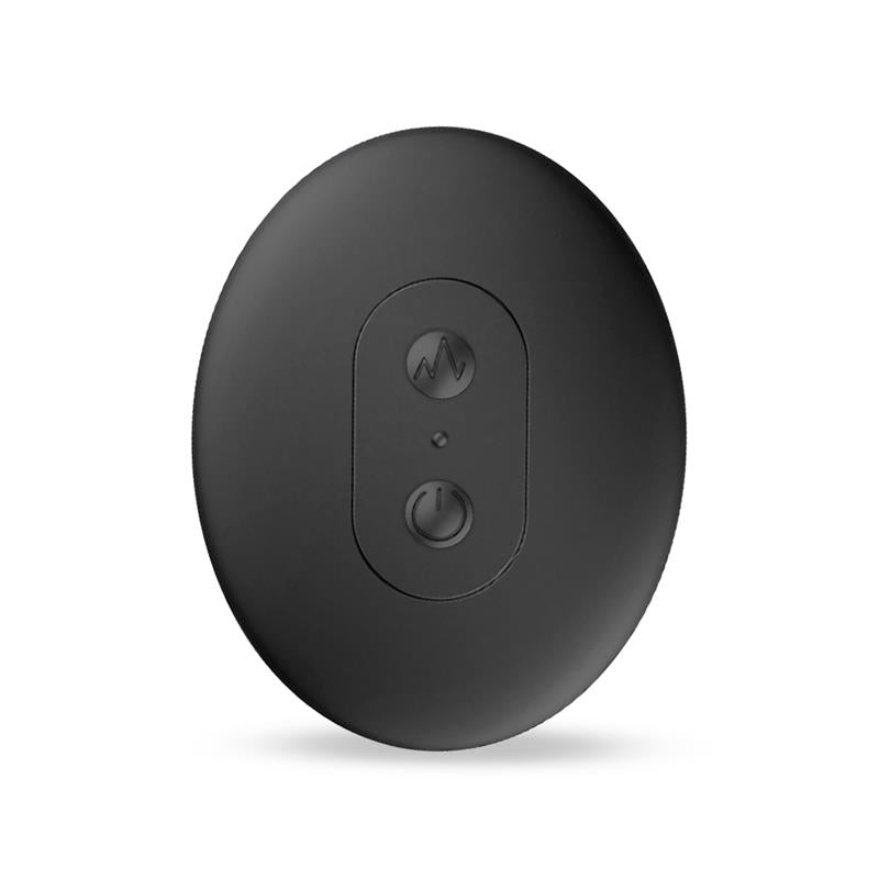 Late To Bed Ferty Remote Panty Stimulator