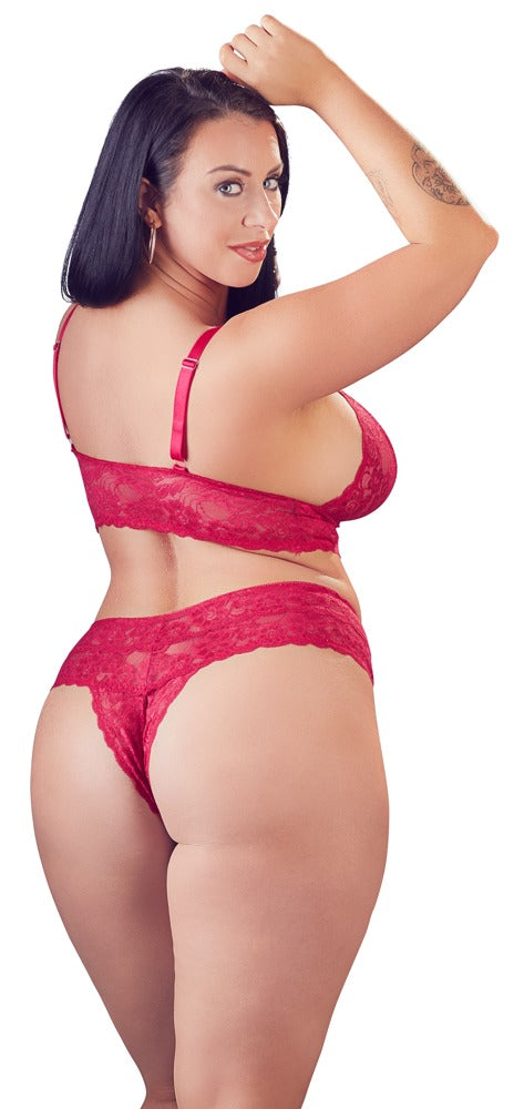 Cottelli Lace Bra And Brief Set red back