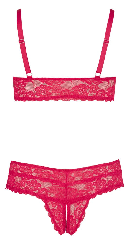 Cottelli Lace Bra And Brief Set red back