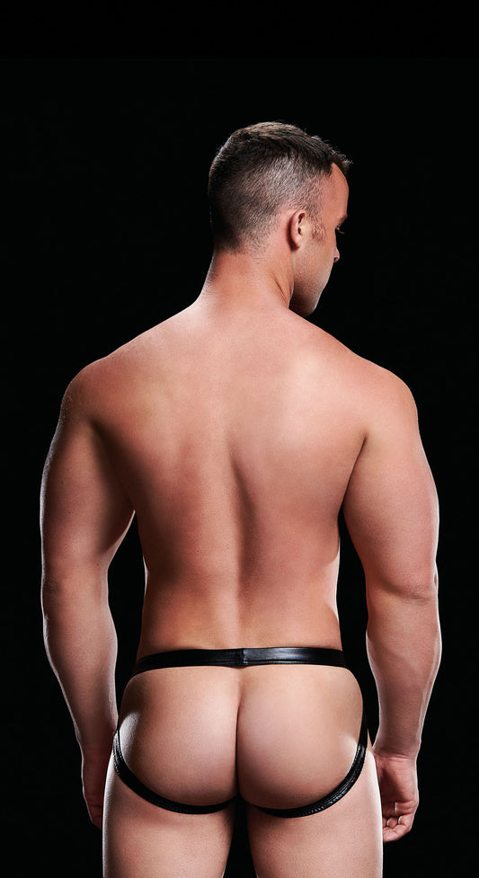 Envy Wet Look Low-Rise Jock back