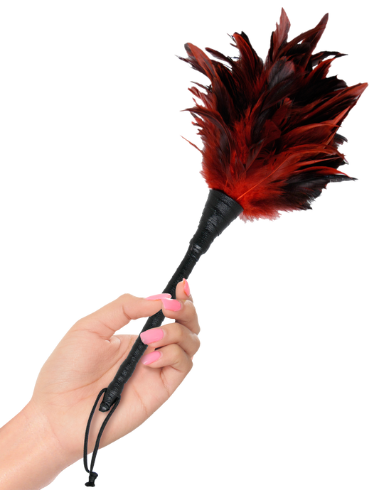 Fetish Fantasy Series Frisky Feather Duster in hand