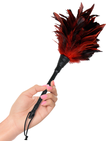 Fetish Fantasy Series Frisky Feather Duster in hand