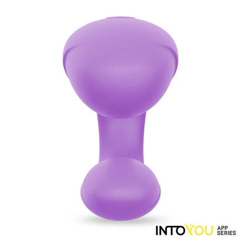 Into You App Control Couples Toy front