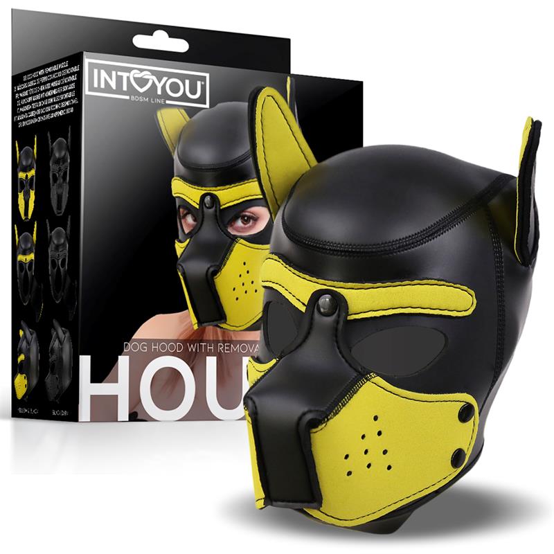 Into You Neoprene Hound Dog Hood with box