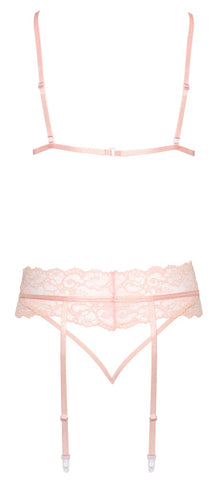 Kissable Lace Bra and Panty Set with Garter Belt Clear Back