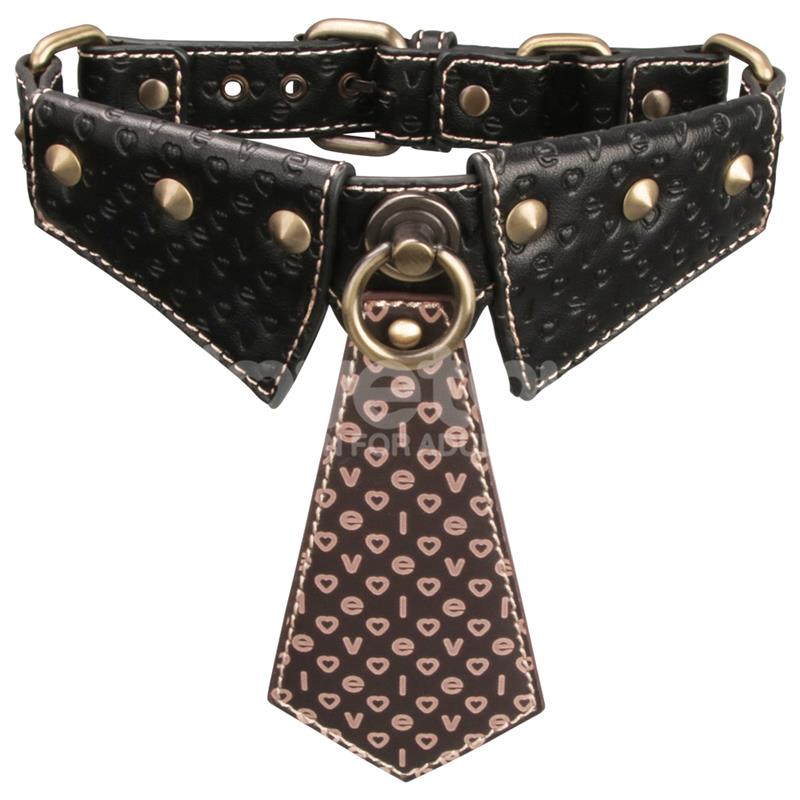 Lovetoy Rebellion Reign Collar And Leash