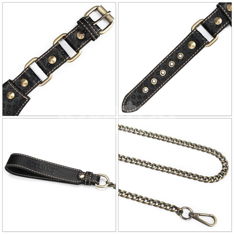 Lovetoy Rebellion Reign Collar And Leash details