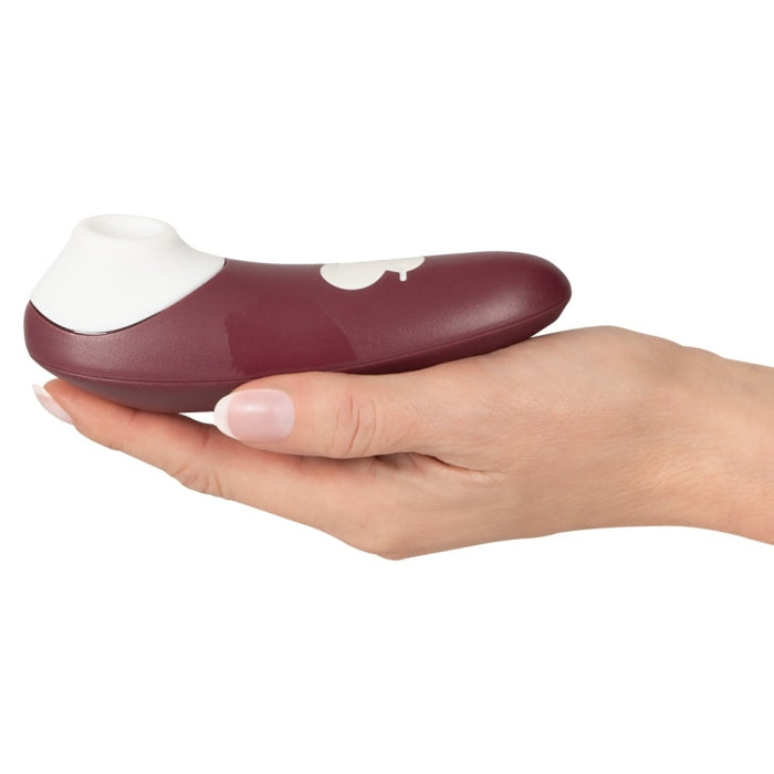 Romp Switch Battery Operated Air Pulse in hand