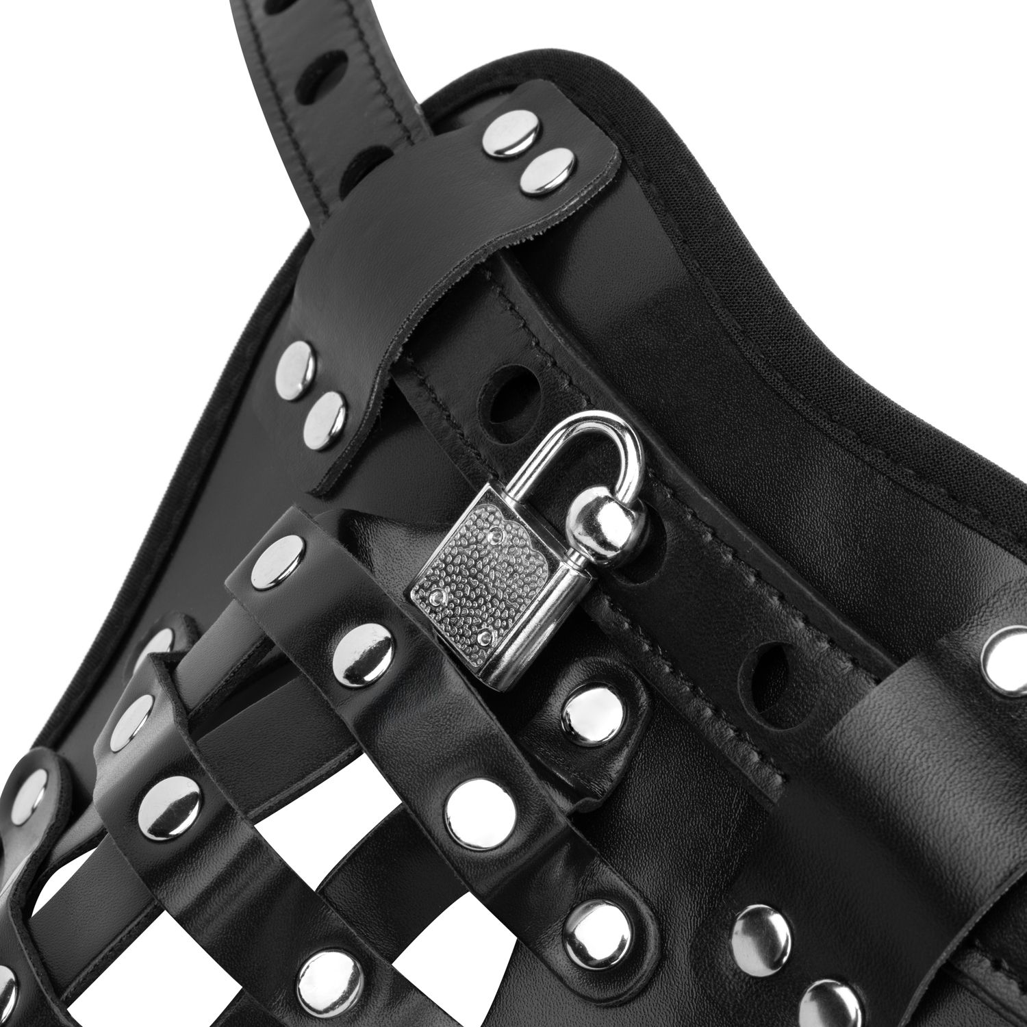 Bedroom Fantasies Black Chastity Cage Panty - Loveangels