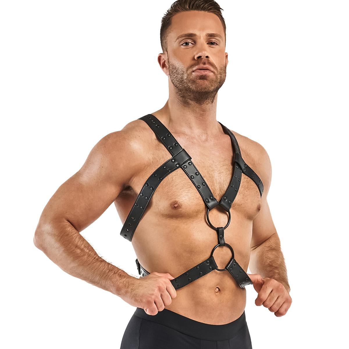 Bedroom Fantasies Rocco Harness - Loveangels