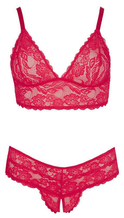 Cottelli Lace Bra And Brief Set Plus Size - Loveangels