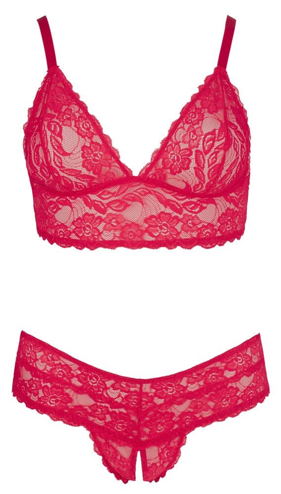 Cottelli Lace Bra And Brief Set Plus Size - Loveangels