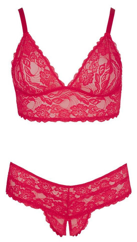 Cottelli Lace Bra And Brief Set Plus Size - Loveangels