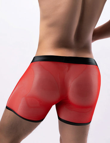 Loveangels Men's Mesh Trunks With Openable Pouch - Loveangels