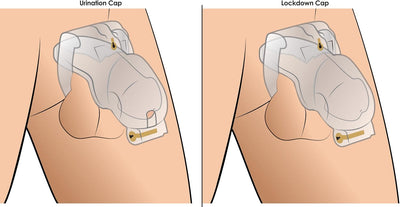 Master Series Custom Lockdown Lockable Adjustable Chastity Cage - Loveangels