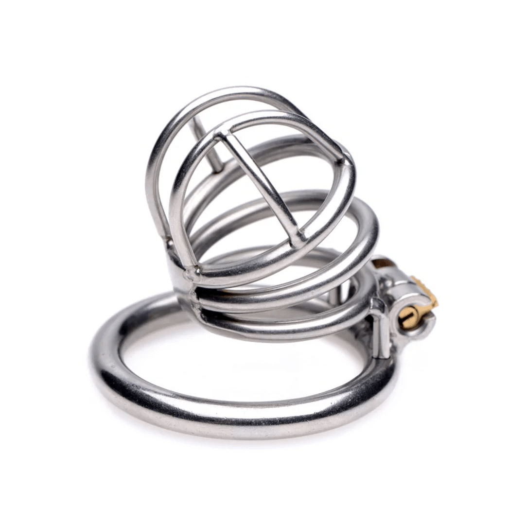 Master Series The Pen Deluxe Lockable Chastity Cage - Loveangels
