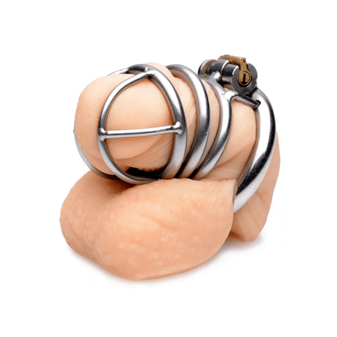 Master Series The Pen Deluxe Lockable Chastity Cage - Loveangels