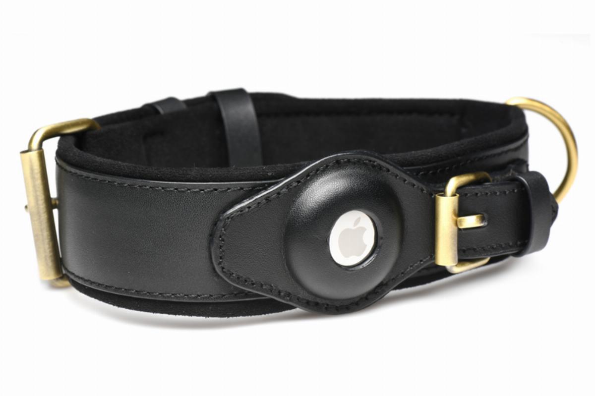 Master Series Tracer Tracker Collar - Loveangels