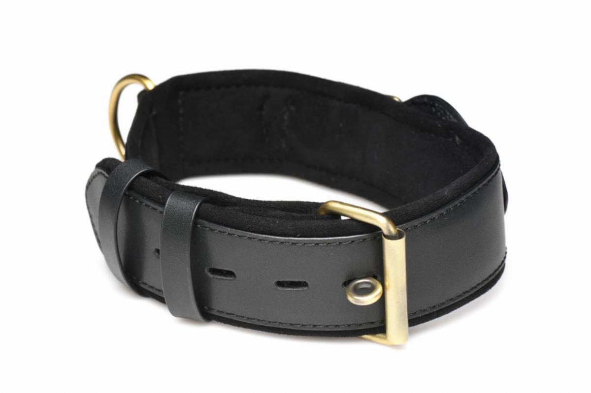 Master Series Tracer Tracker Collar - Loveangels