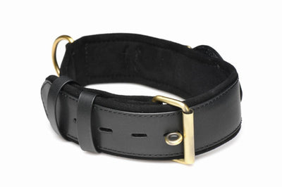Master Series Tracer Tracker Collar - Loveangels