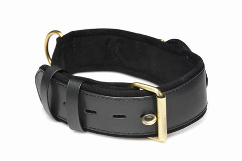 Master Series Tracer Tracker Collar - Loveangels