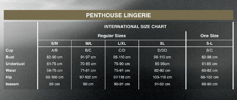 Penthouse High Profile Bodystocking - Loveangels