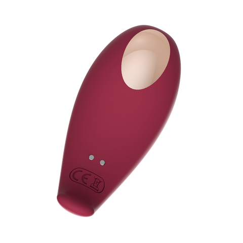 Adrien Lastic Inspiration Vibrating Egg and Air Pulse Vibrator Set