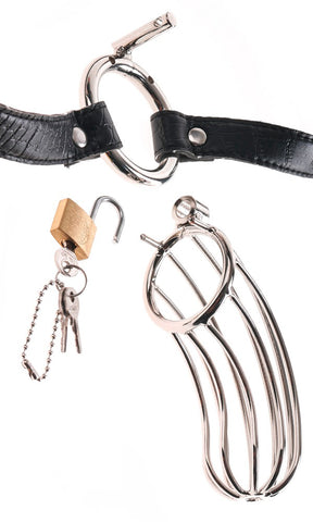 Fetish Fantasy Extreme The Prisoner Chastity Cage open