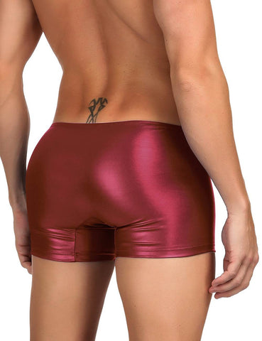 Loveangels Wet Look Pants with Zip Detail burgundy back