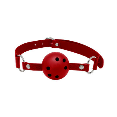 Alive Discretion Breathable Ball Gag - Loveangels