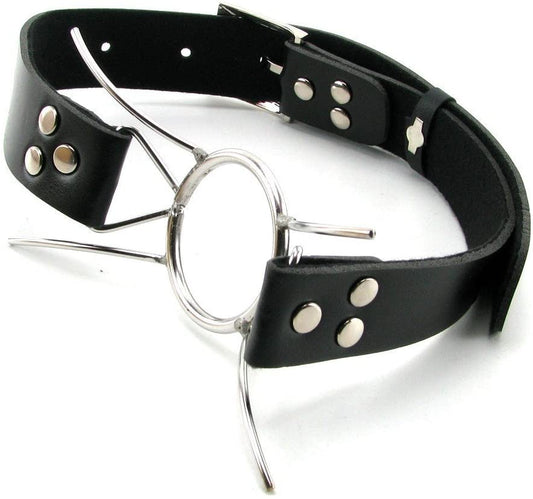 Fetish Fantasy Extreme Spider Gag - Loveangels