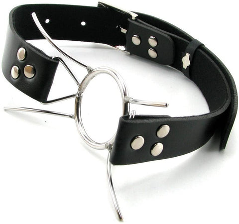 Fetish Fantasy Extreme Spider Gag - Loveangels