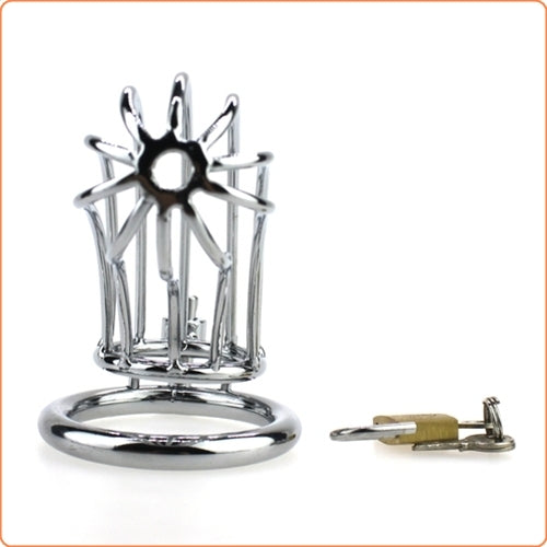 Metal Male Chastity Kit 2 Inch Ring